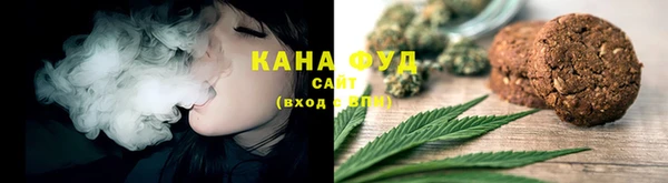 молекула духа Козловка