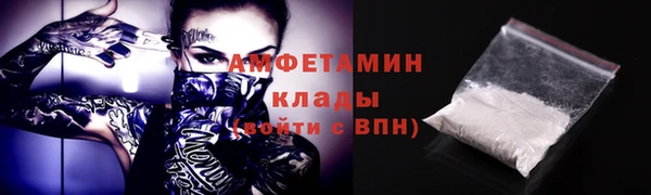 молекула духа Козловка