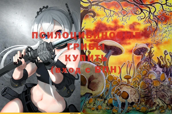 первитин Кодинск