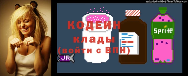 молекула духа Козловка