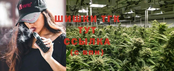 молекула духа Козловка