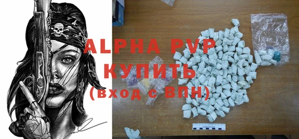 молекула духа Козловка