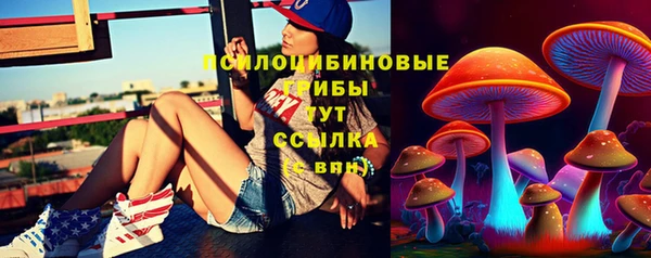 эйфоретик Козельск