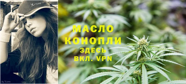 молекула духа Козловка
