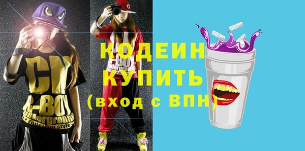 молекула духа Козловка