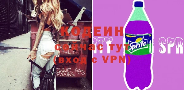 молекула духа Козловка