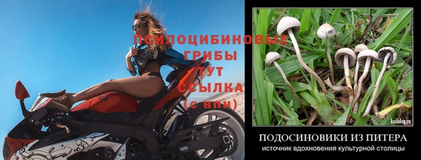 эйфоретик Козельск
